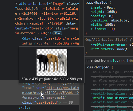 I have moved my cursor over the link to the Twitter picture in the Elements tab, and the entire picture of three cats is displayed with their long long legs. A lot of other HTML and CSS is visible around the picture.